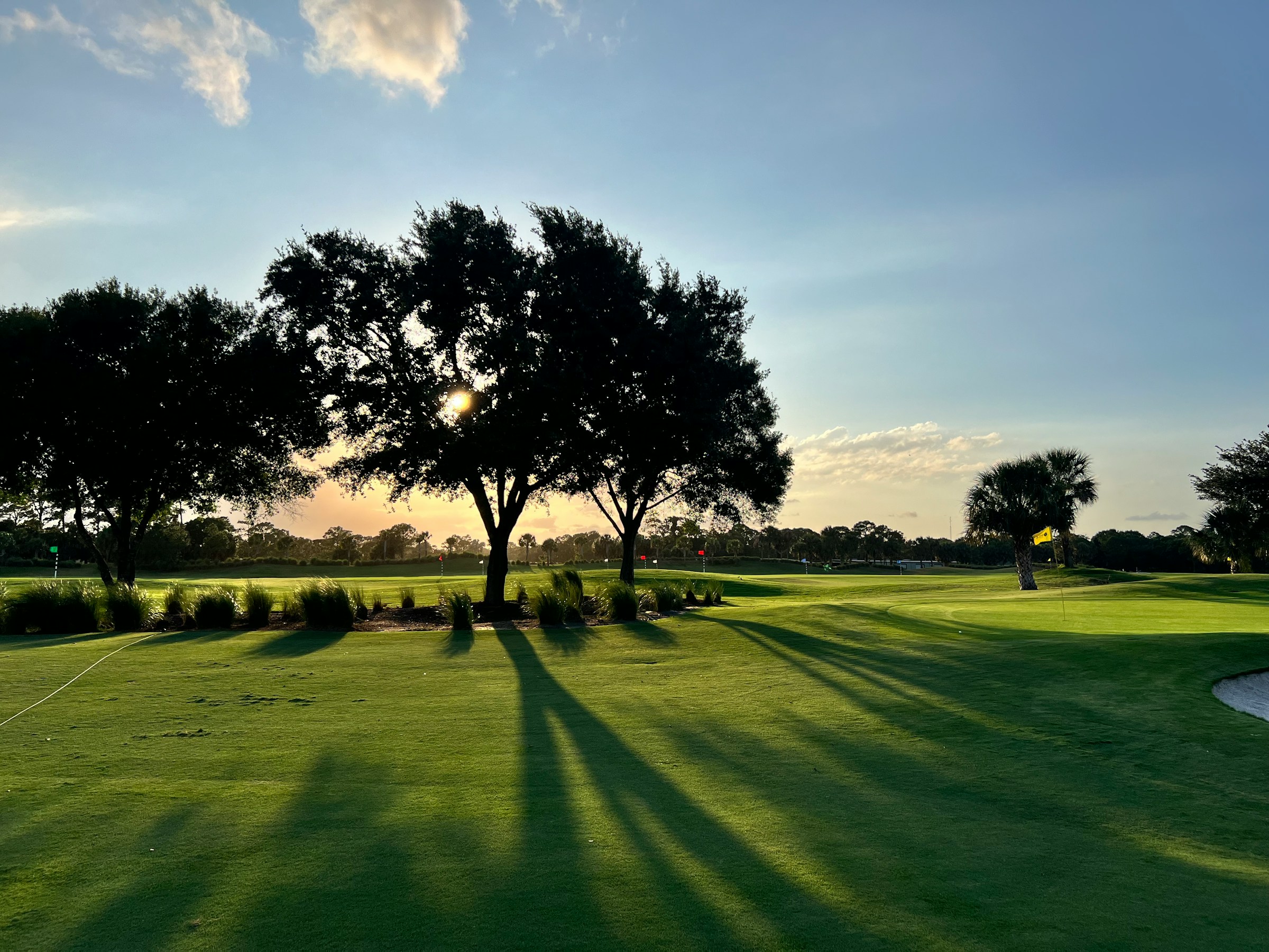 Florida golf course green at golden hour with trees, palms and long shadows